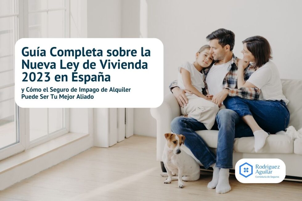 Gu A Ley De Vivienda Y Seguro Impago Alquiler